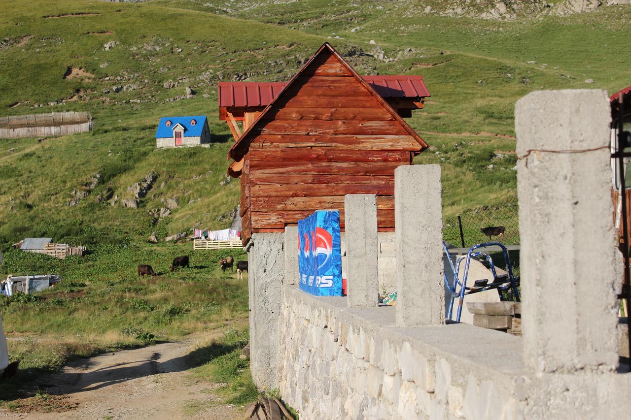 Rural Household Minic - Kapetanovo Jezero Hostel Kolašin Exterior foto